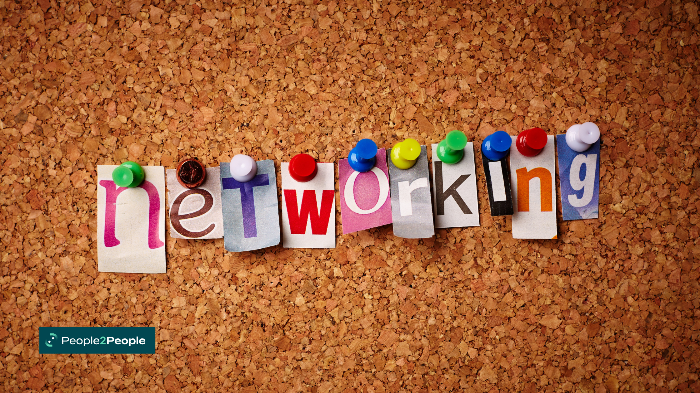 Fortalece tu red de contactos: networking